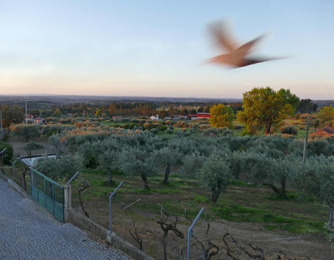 Casa E Piscina Privada Villa Fundão Dış mekan fotoğraf